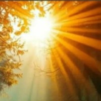 سفره ایرانی