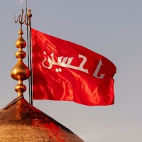 مامان ایلیا