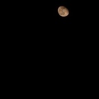 ?مو فرفری شونم?