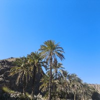 ⁦♡kordlفاطمه♡