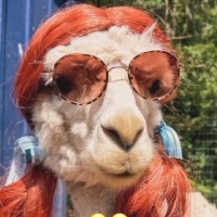 مامانِ مَهسا♡