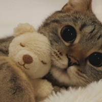 دختر بهار ☘