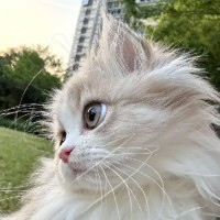 مامانِ مَهسا♡