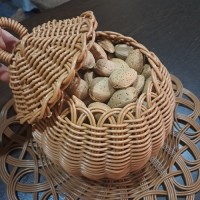 خانم آقا سید