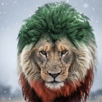 مامی عسل♡آراد
알미