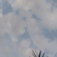 خانه‌ی هنر