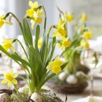 مامان فرشته ها