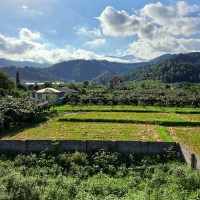 ♡ⓖⓗⓐⓩⓐⓛ♡