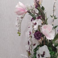 بارانا۲۰۱۹