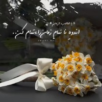 ❤️Zahra sadat❤️