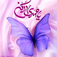 مامان‌۳تاجوجه