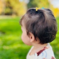 عارفه سادات