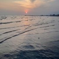 سمانه نیستانی